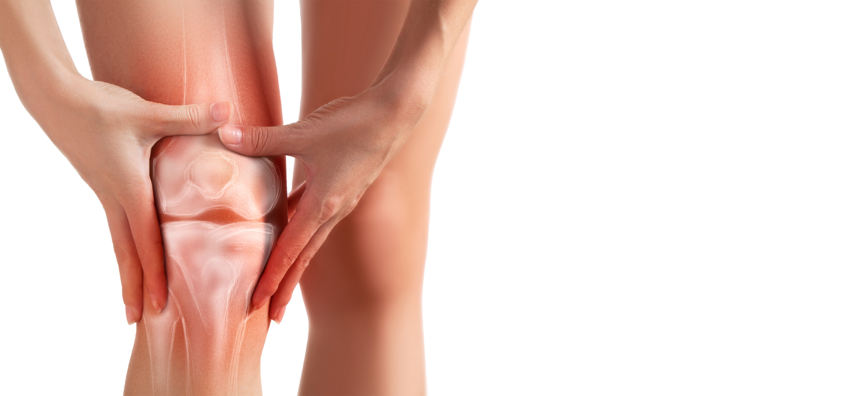 anatomie palpatoire avancée